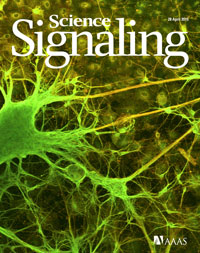 Science signaling cover