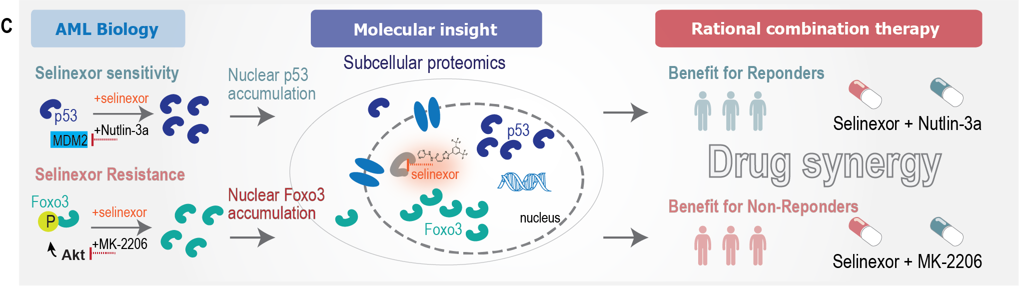 Overview of results of the analysis.