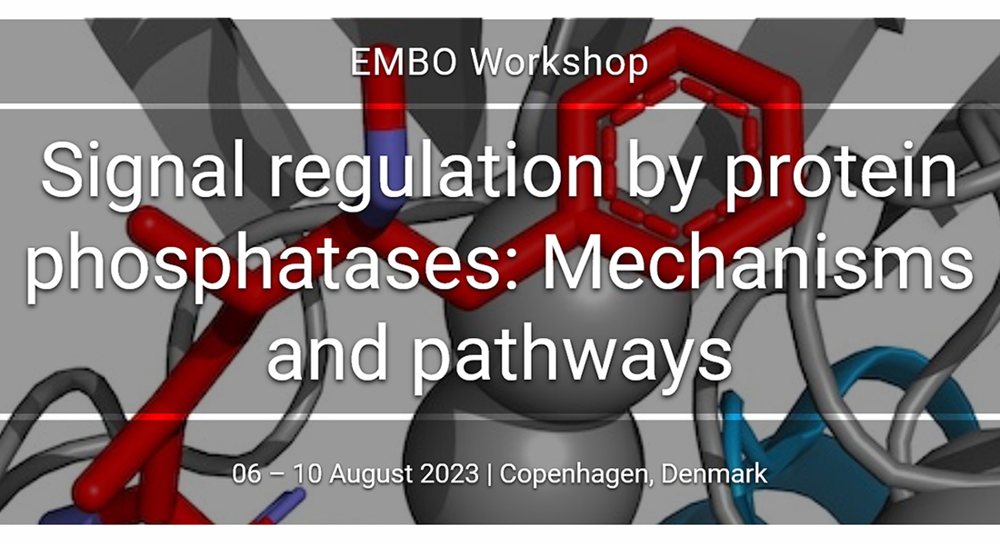 EMBO Workshop - Copenhagen - 6-10 Aug 2023